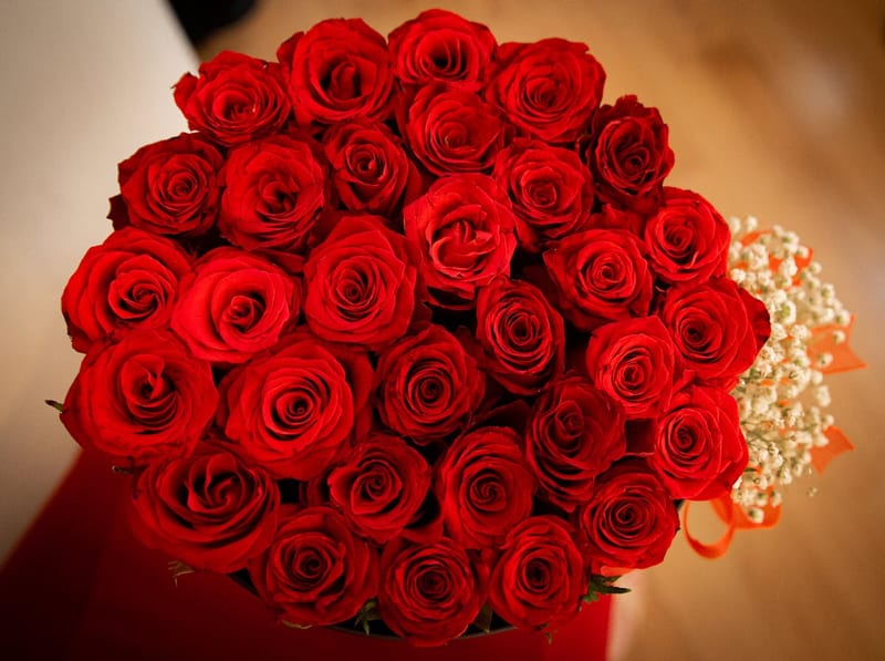 Red Rose Bouquet
