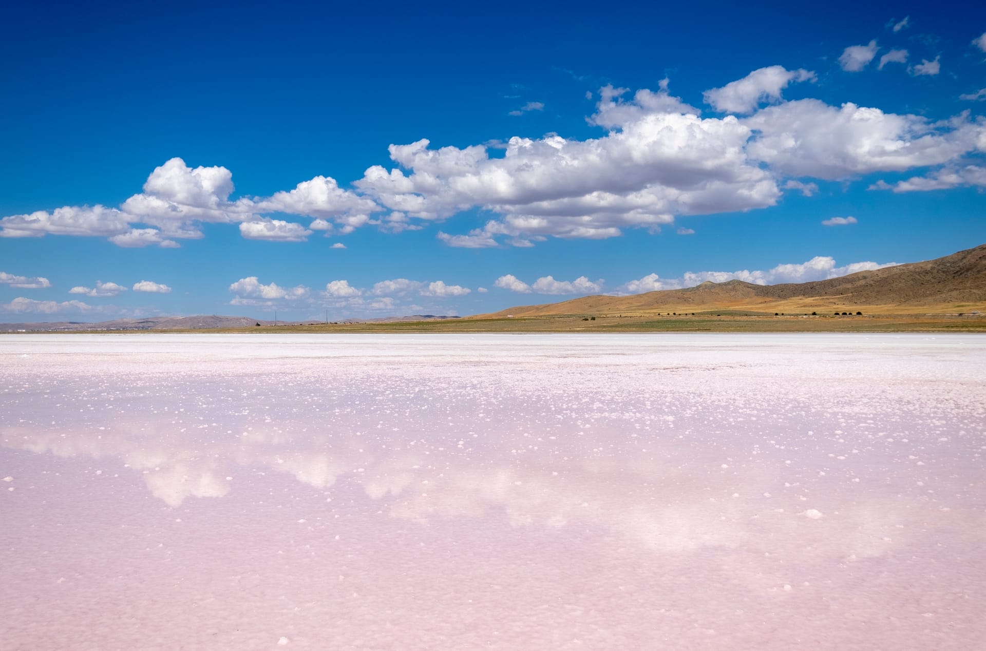 Salt Lake Experience - 1