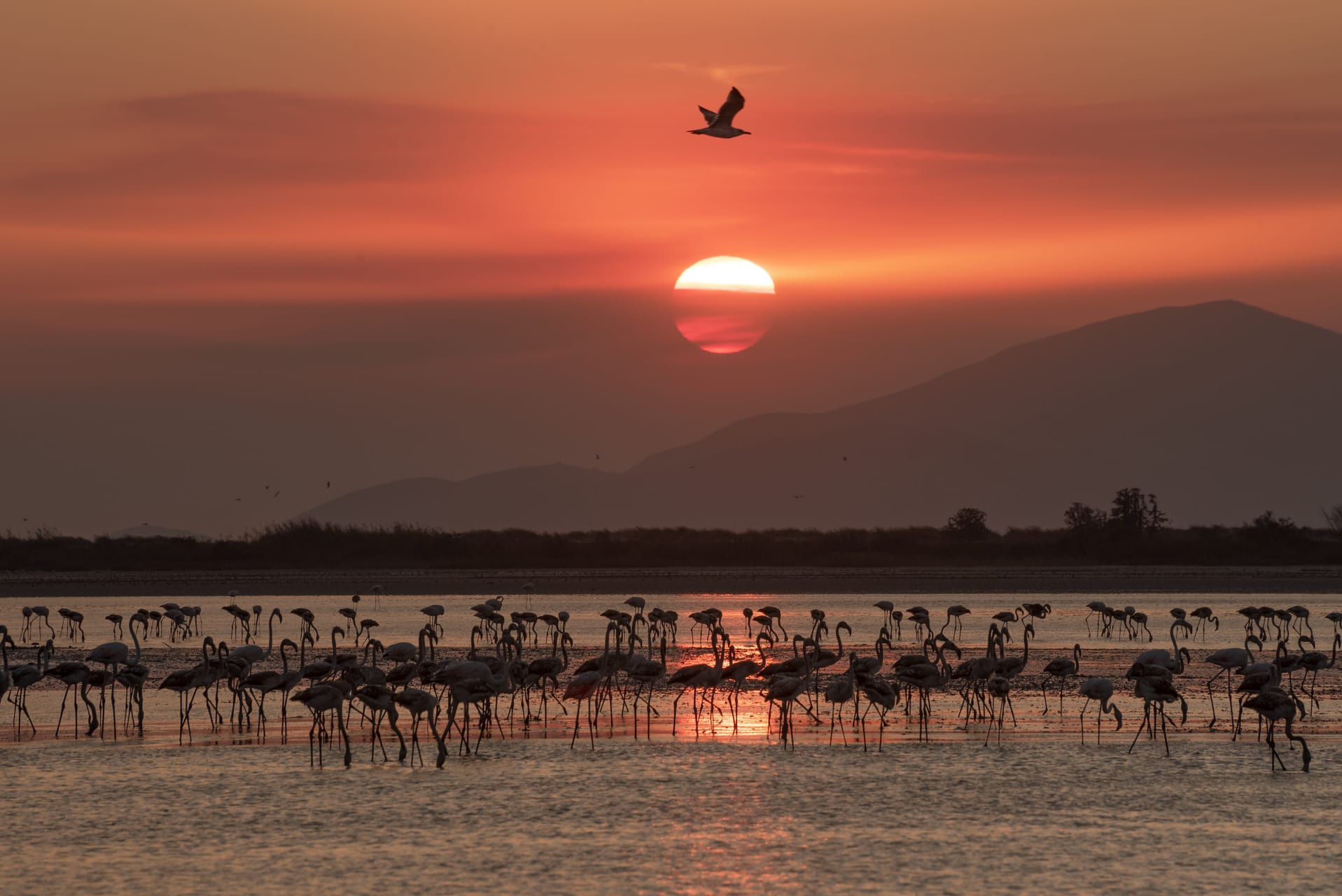 Salt Lake Experience - 5